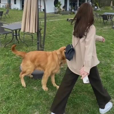 匹克威克先生外传